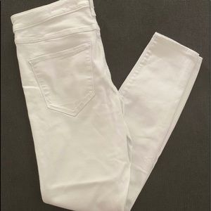 High rise new hollister